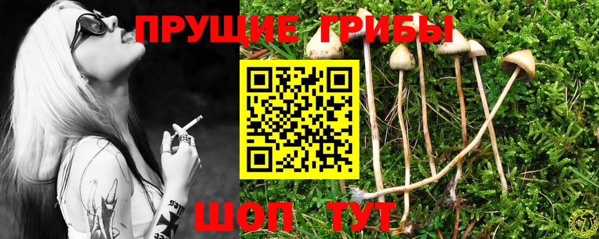 Псилоцибиновые грибы прущие грибы  Вход с VPN  Галлюциногенные грибы Psilocybe  Ульяновск 
